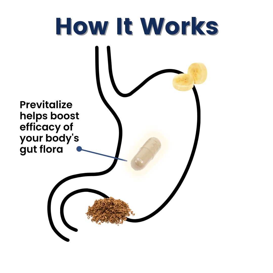 Previtalize | Best Natural Weight Loss Super Prebiotic - Image 3