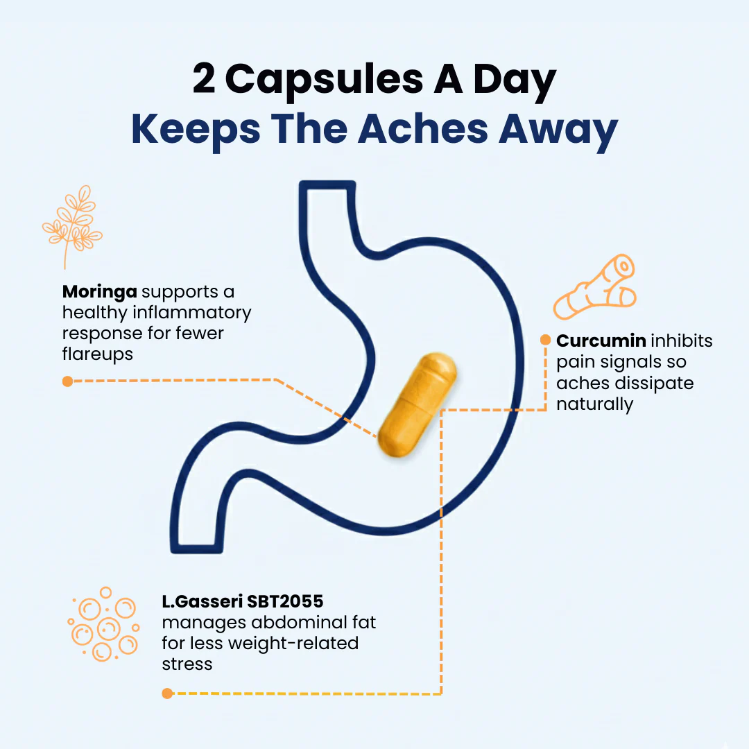 Provitalize | Best Natural Menopause Probiotic - Image 4