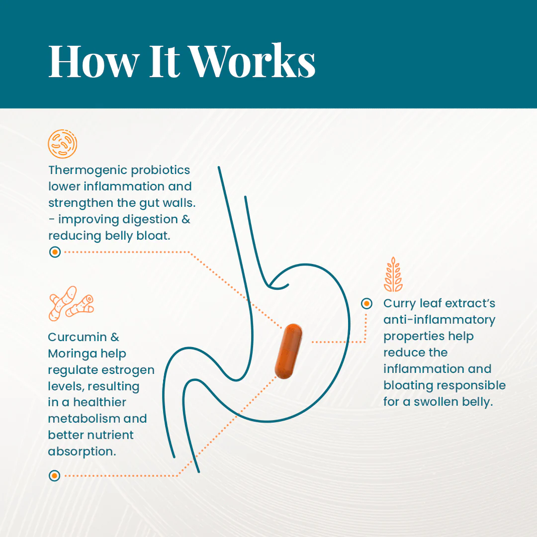 Shrink Belly Bloat With Provitalize - Image 6